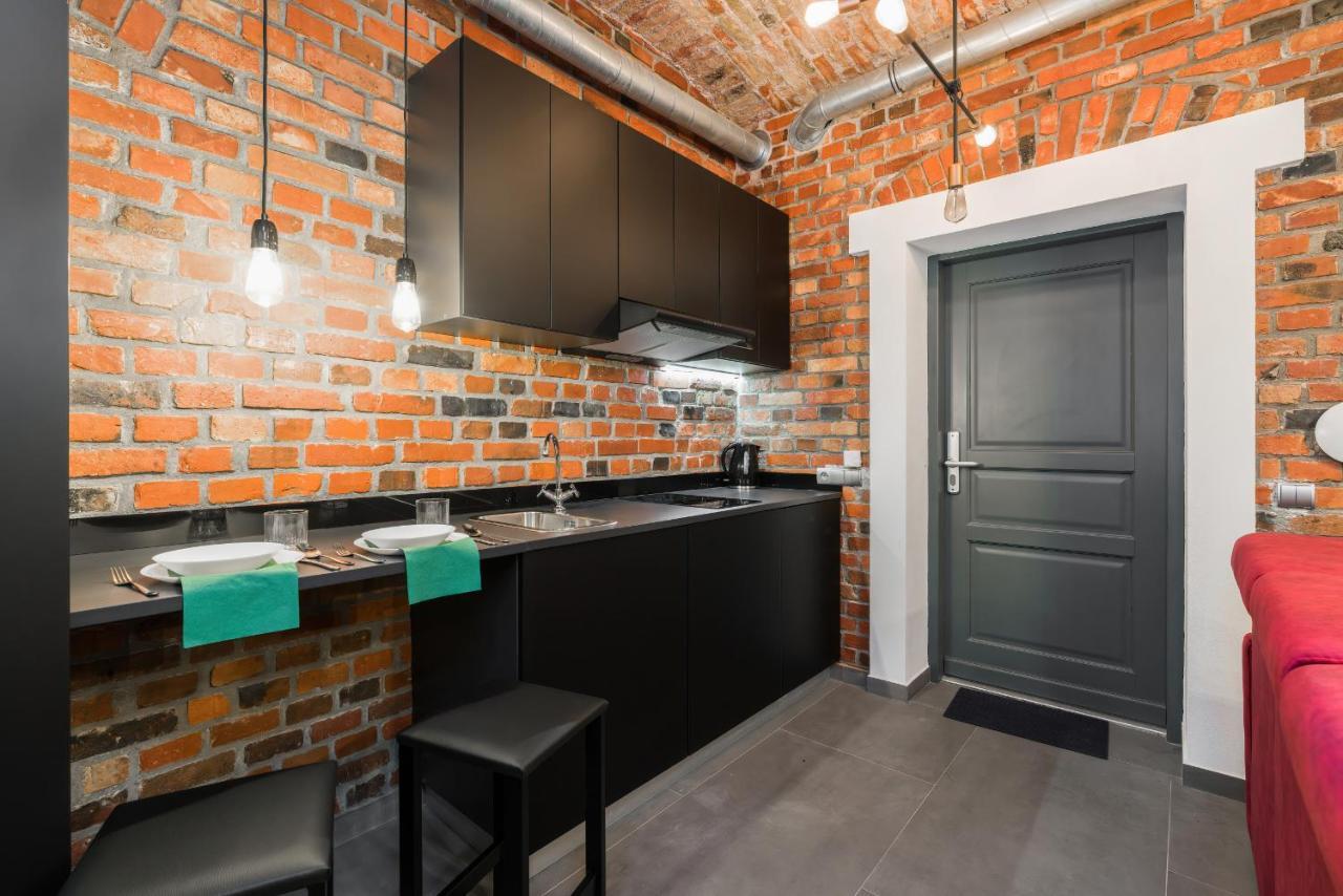 Level -1 Loft Apartments City Center Kopernika Poznań Esterno foto