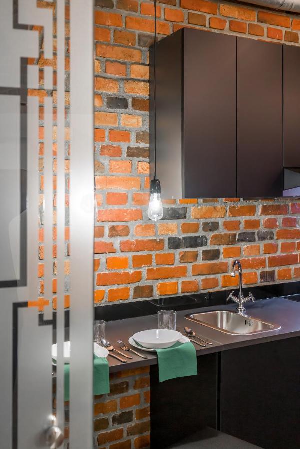 Level -1 Loft Apartments City Center Kopernika Poznań Esterno foto